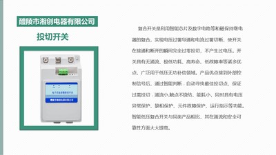 复合开关XCFK2-0.4-65-3的厂家